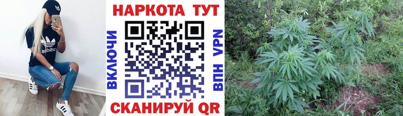Где можно купить наркотики Стародуб Метадон  Бошки Шишки  Меф мяу мяу  АМФ  Гашиш  Альфа ПВП 