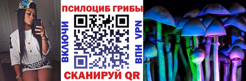 Галлюциногенные грибы мухоморы  МЕГА онион  Стародуб  где продают  